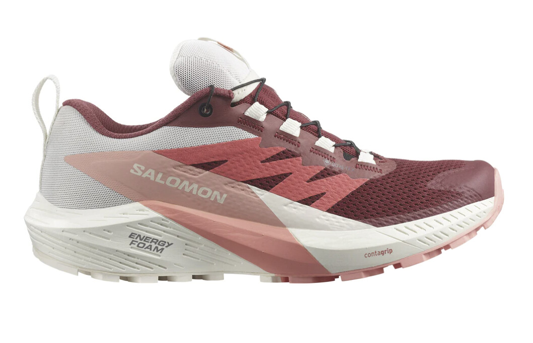 Salomon-Sense Ride 5 GTX W