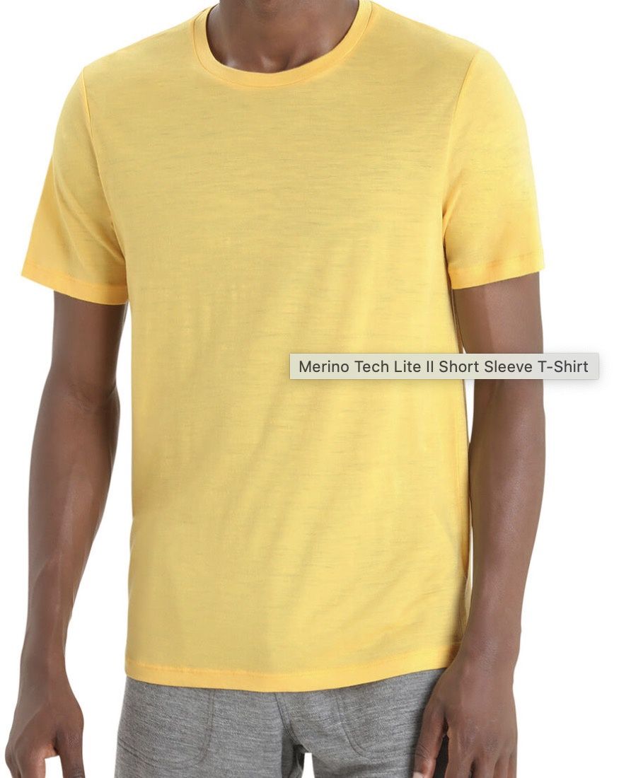 icebreaker Tech Lite II SS Tee Men, Colour: summer, Size: L