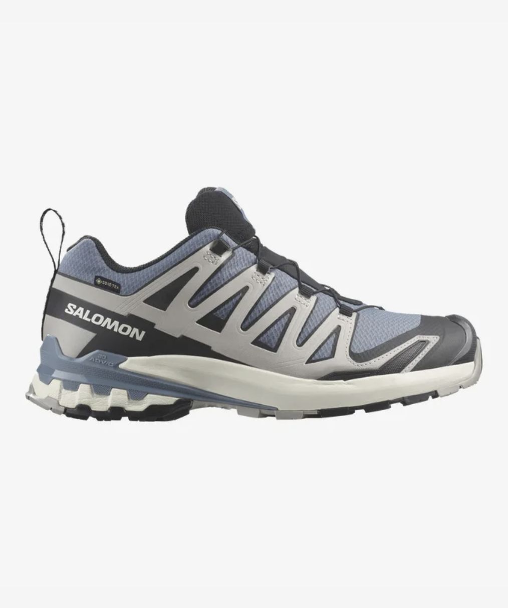 Salomon XA PRO 3D V9 GTX, Colour: Flint Stone, Size: Us 9