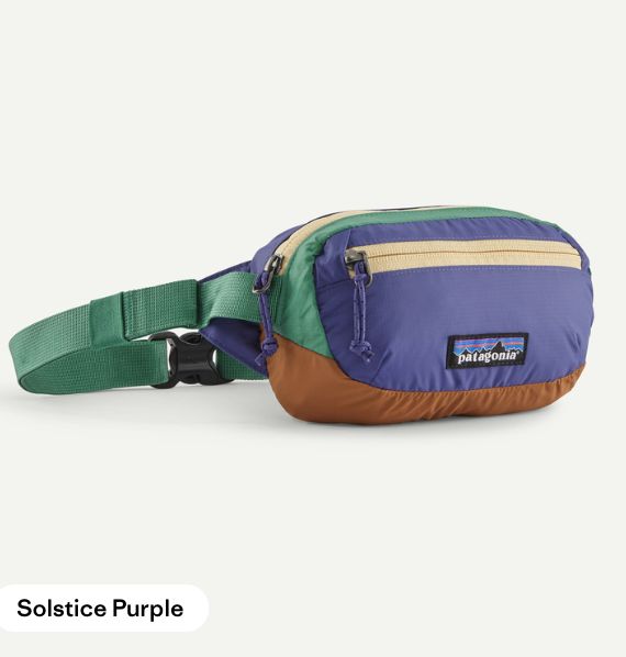 Terravia Mini Hip Pack