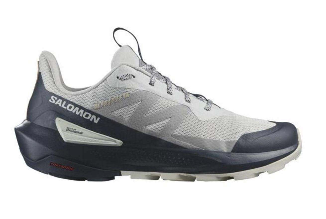Salomon-ELIXIR ACTIV, Colour: Glacier Gray, Size: US10