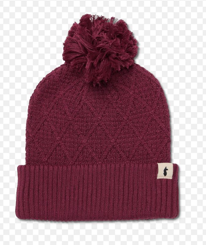 Tozo Beanie