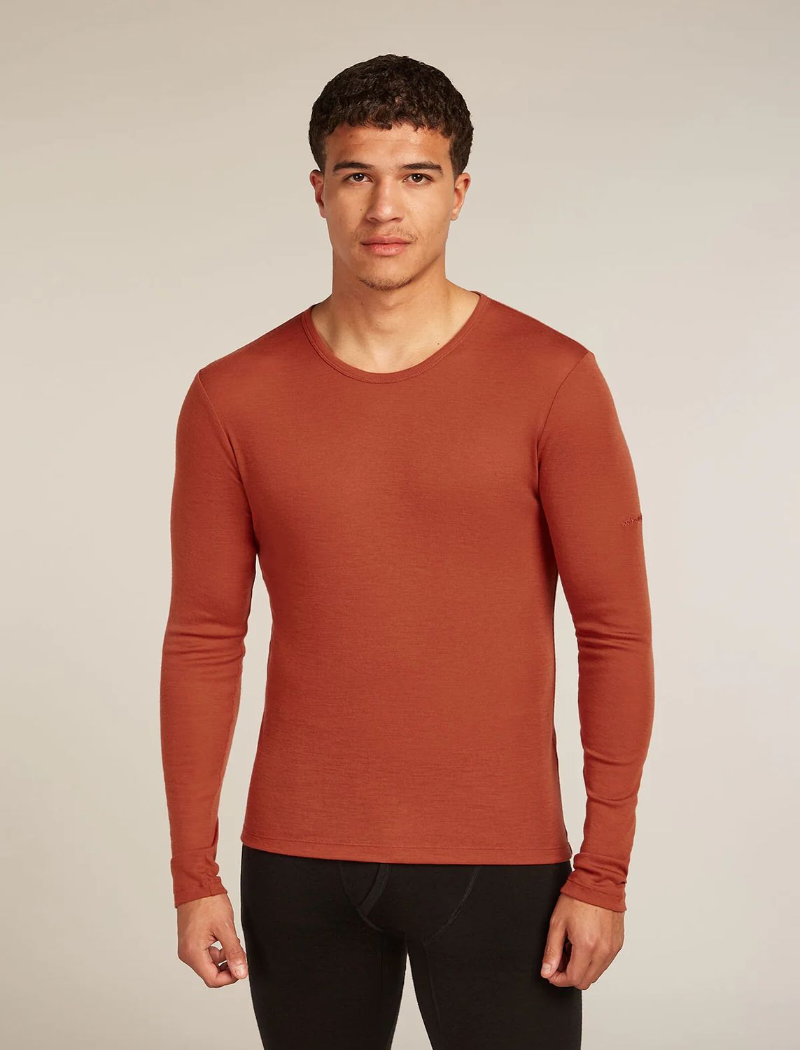 Men Merino 175 Everyday LS Crewe, Colour: JASPER, Size: Small