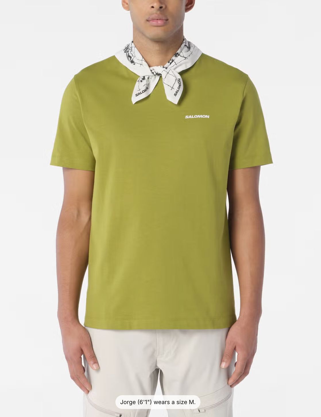 CHEST LOGO REGULAR TEE M CARDAMON SEED, Gender: Men, Size: L