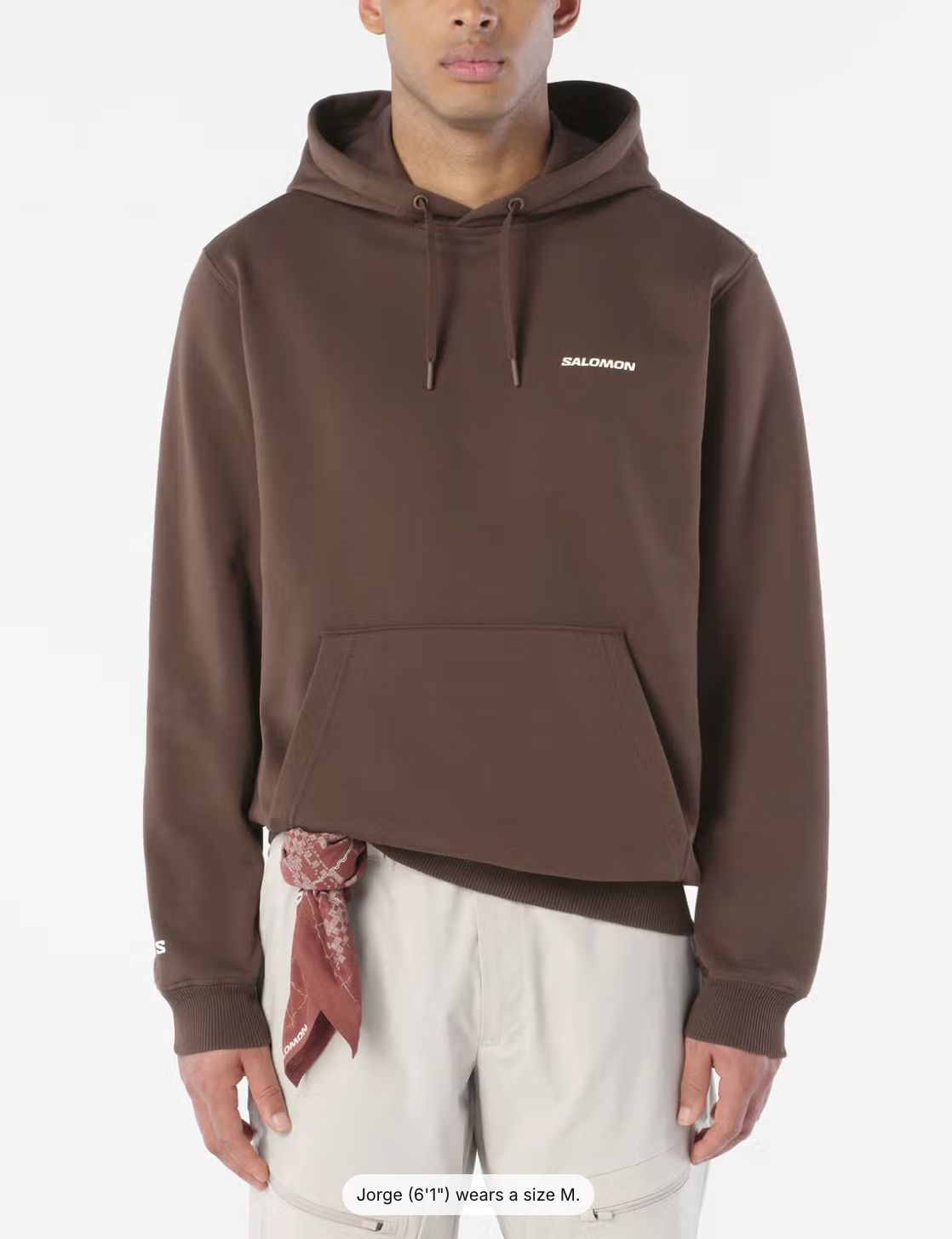 CHEST LOGO HOODIE M Coffee Bean, Gender: Men, Size: L