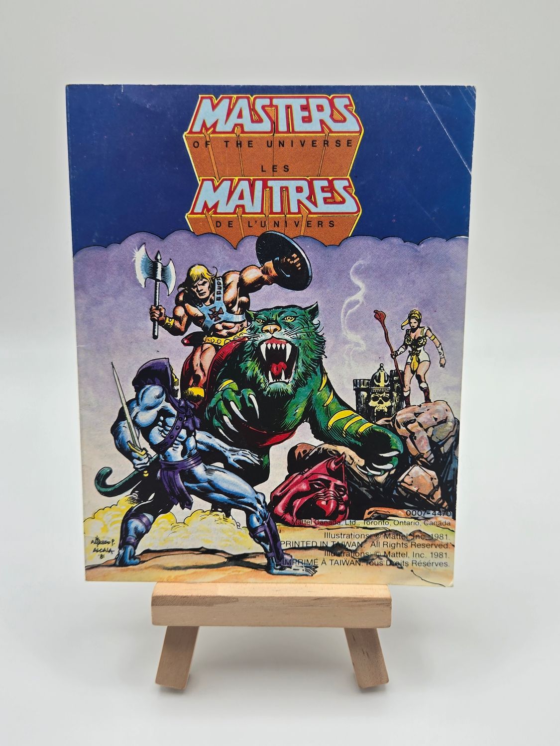 1981 King of Castle Grayskull - Mini Masters of the Universe (MOTU) Vintage Comic Book Mattel - Copy #2