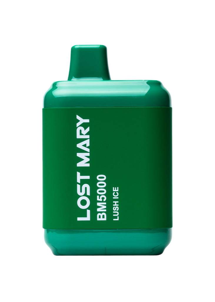 Lost Mary BM5000 Puffs Disposable