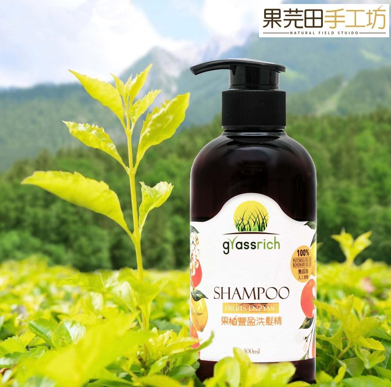 升級版果植豐盈洗髮精