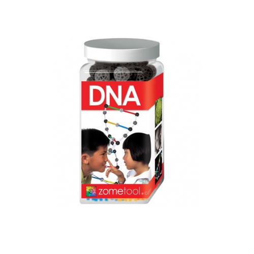 ZOMETOOL DNA