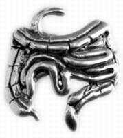 INTESTINES ANATOMY PIN