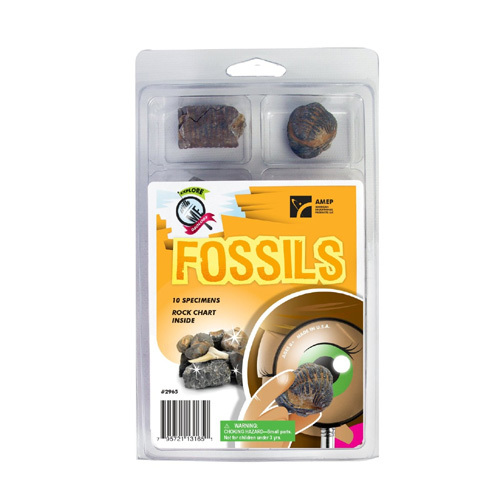 EXPLORE WITH ME FOSSILS KIT
