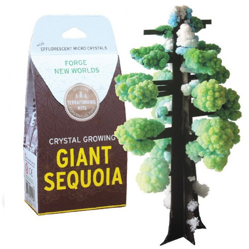GIANT SEQUOIA CRYSTAL GROWING
