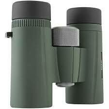 10x32 Kowa BD II XD