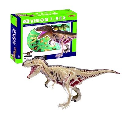 4D VISION TYRANNOSAURUS REX ANATOMY MODEL