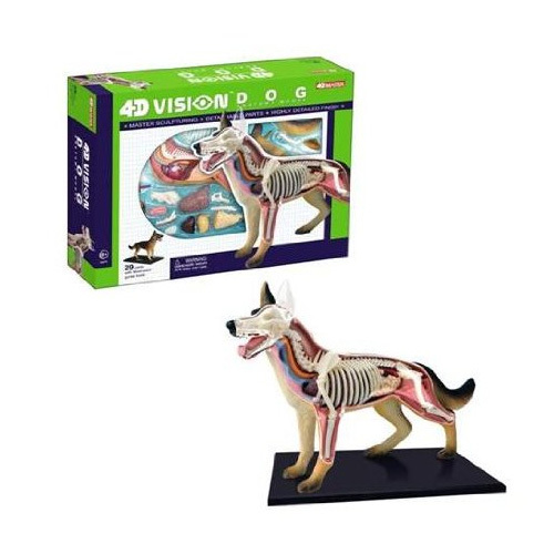 4D VISION GERMAN SHEPHERD ANATOMY MODEL