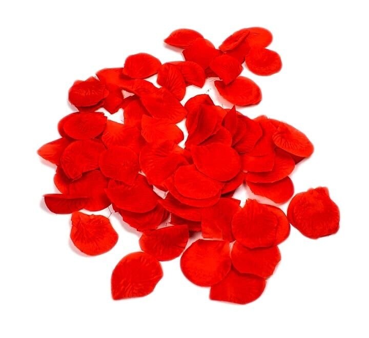 Rose Petals - pack of 50