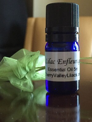 Lilac Enfleurage Absolute, Organic, 5ml