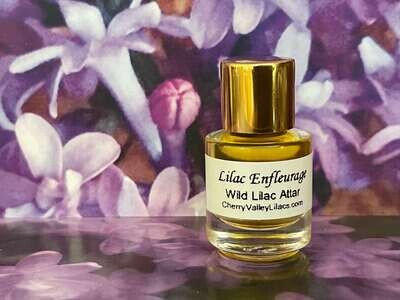 Wild Lilac Attar, Enfleurage Lilac Oil Absolute, organically grown and extracted on a base of organic Australian Sandalwood, 2023 Edition