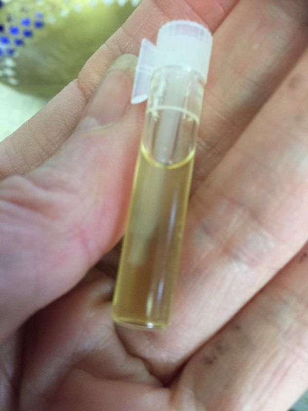 Wild Lilac Blossom Attar, Sample Size 2024 Lilac Enfleurage Perfume Oil, Limited Edition, Real Lilac Essence from Fresh Lilac Flowers 1ml Sample Vial