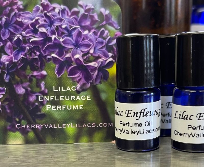 Lilac Enfleurage Perfume, Authentic Lilac Blossom Perfume Oil made from Organic Lilac Enfleurage, Limited Edition tiny 2 ml Sample Shown In The Feature Photo.