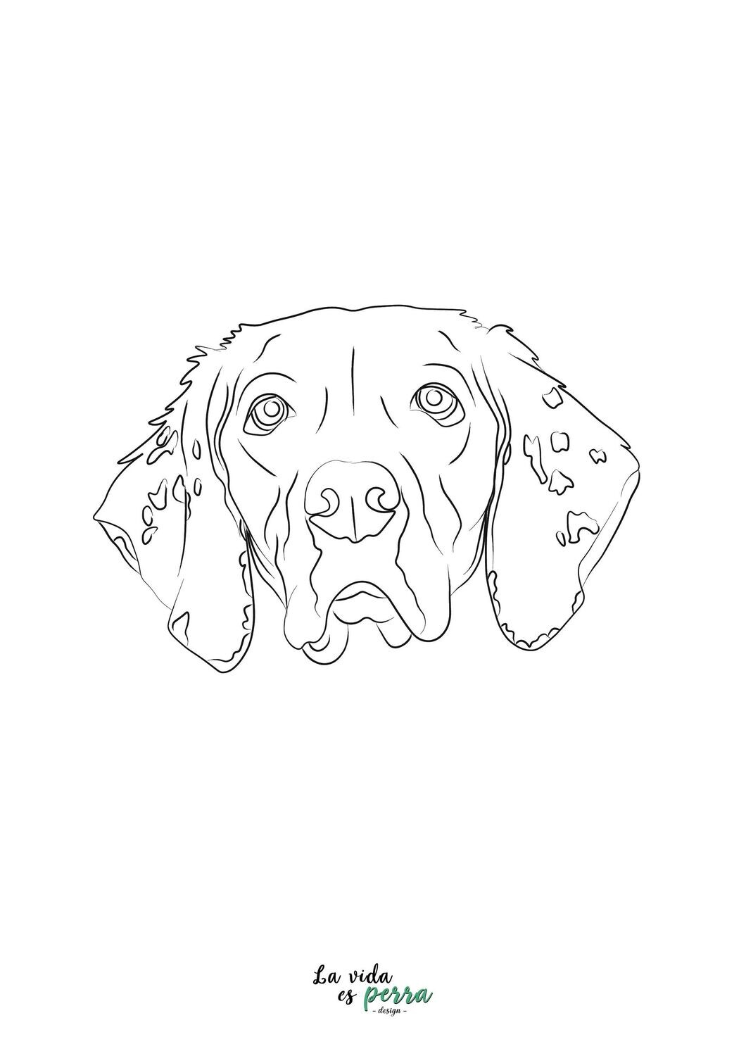 ILUSTRACIONES A LÍNEA