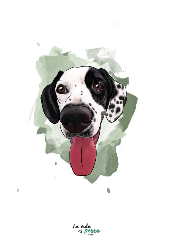 ILUSTRACIONES A COLOR