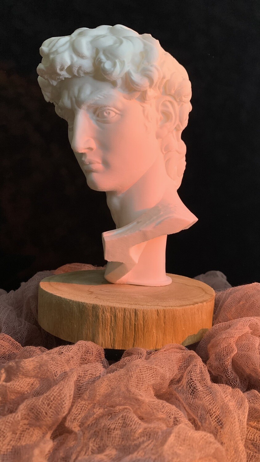 David Bust