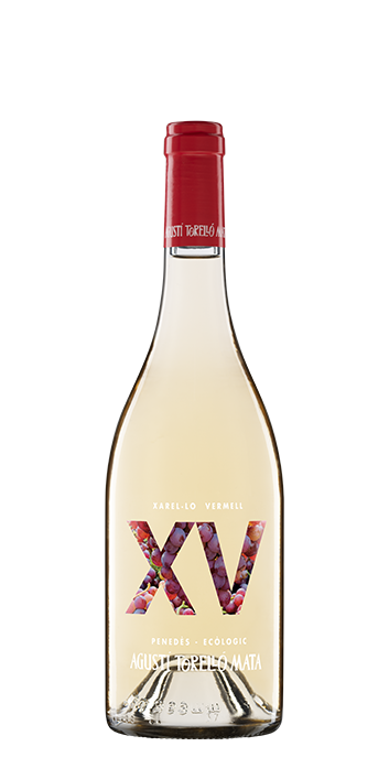 XV
