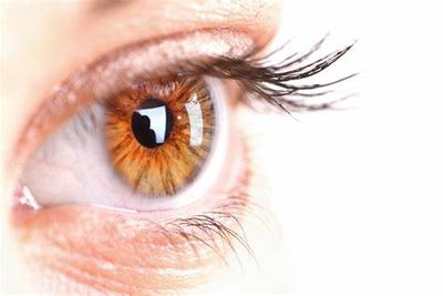 Eye Care