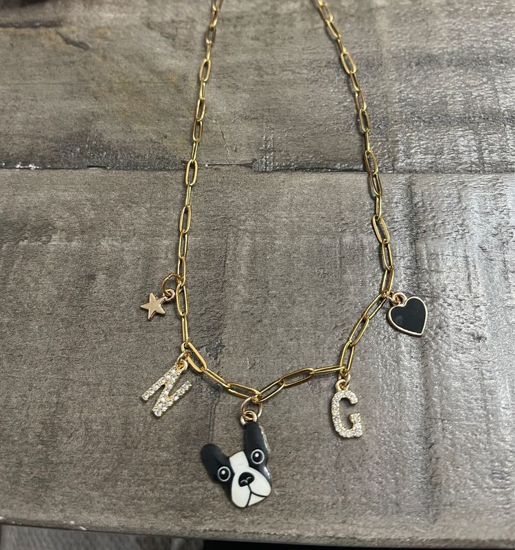 5 Charm Paperclip Necklace Stainless Steel With Overlay