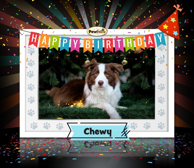Birthday Frame Design 2 with Music