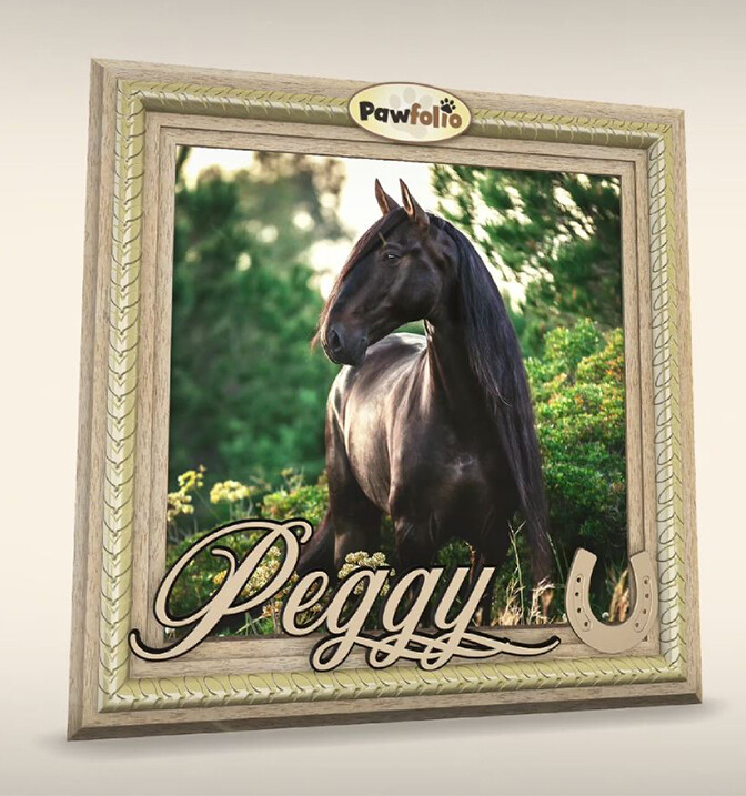 Horse Frame