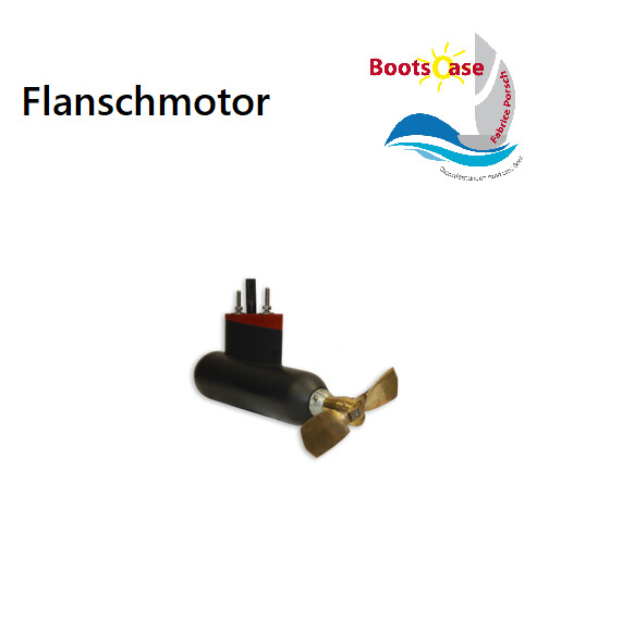 Flanschmotor (Innenborder)  F20e - F150e Professional
