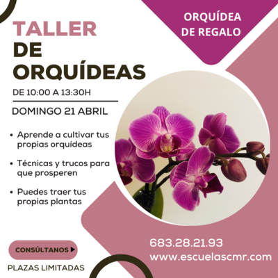 Taller de Orquídeas