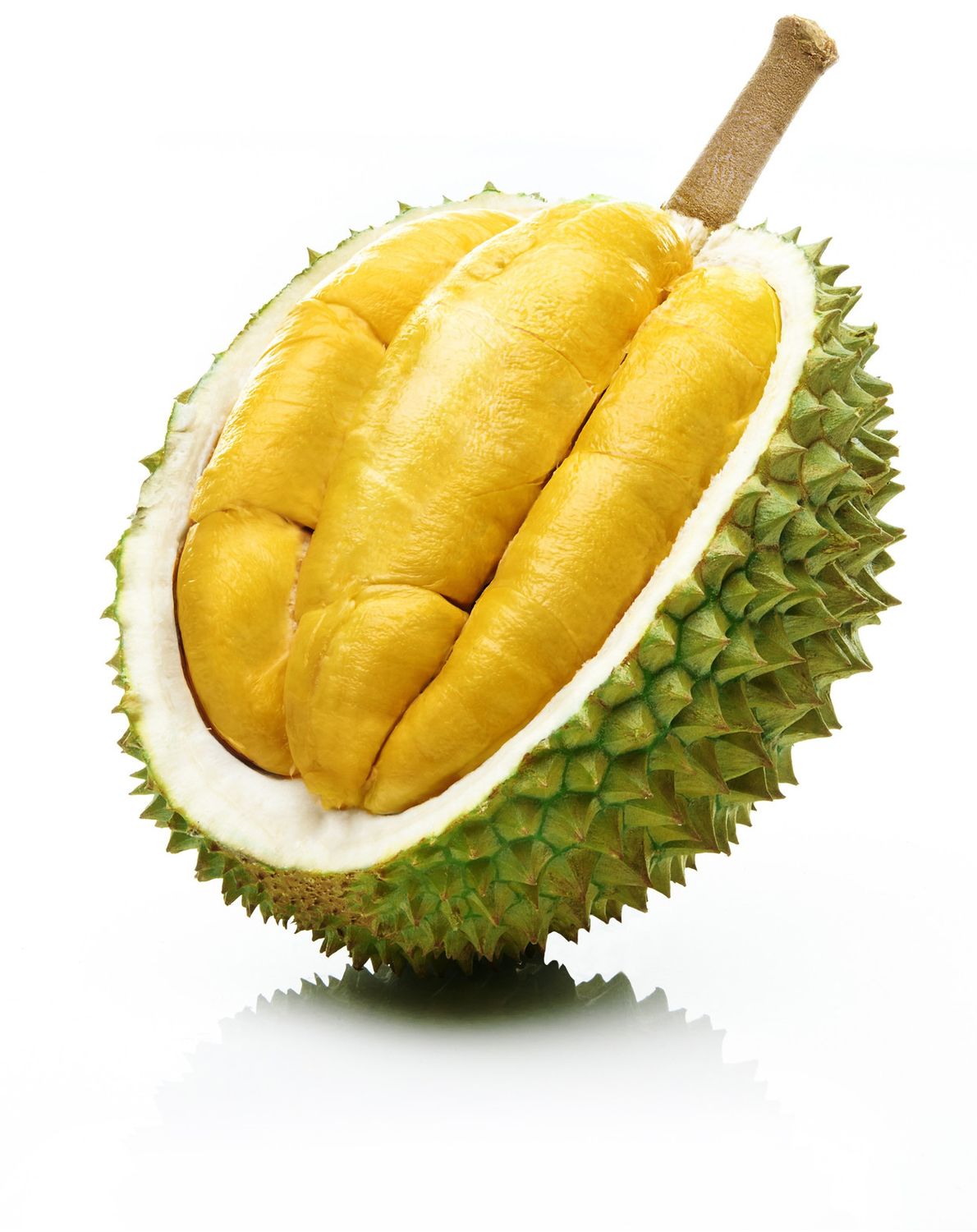 Vietnam R16 Durian 越南榴蓮 (Per LB)