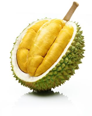 Vietnam R16 Durian 越南榴蓮 (Per LB)