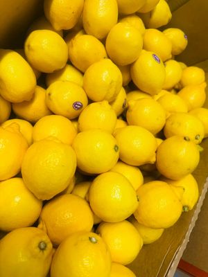 (U)Fresh Lemon 檸檬 (1ea x 100)