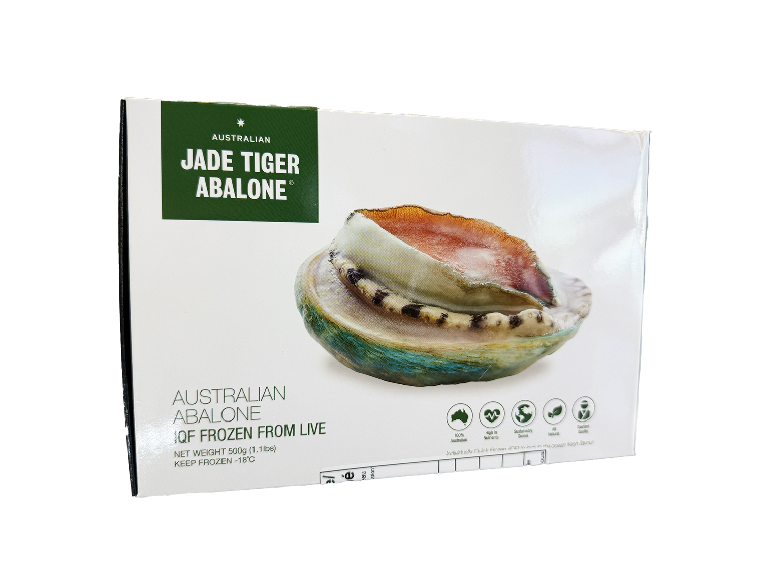 Australia Jade Tiger Abalone on shell 5/6 (澳洲帶殼青邊鮑)
