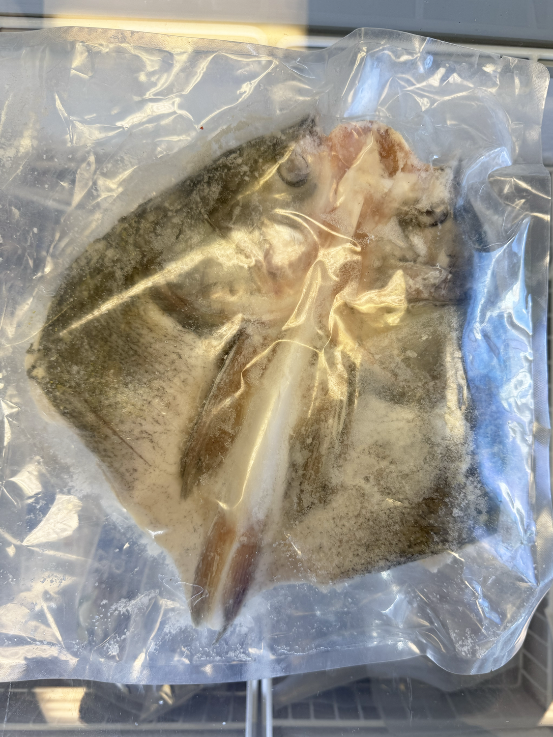 Sliver Carp Head 白鰱魚頭