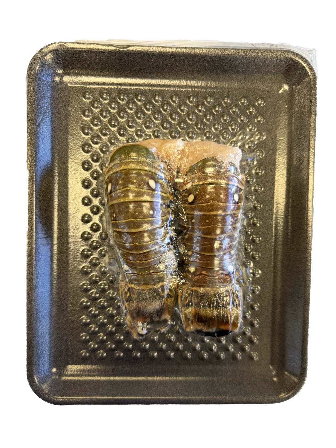 Spiny Lobster Tail得哥南美龍蝦尾 (220g)