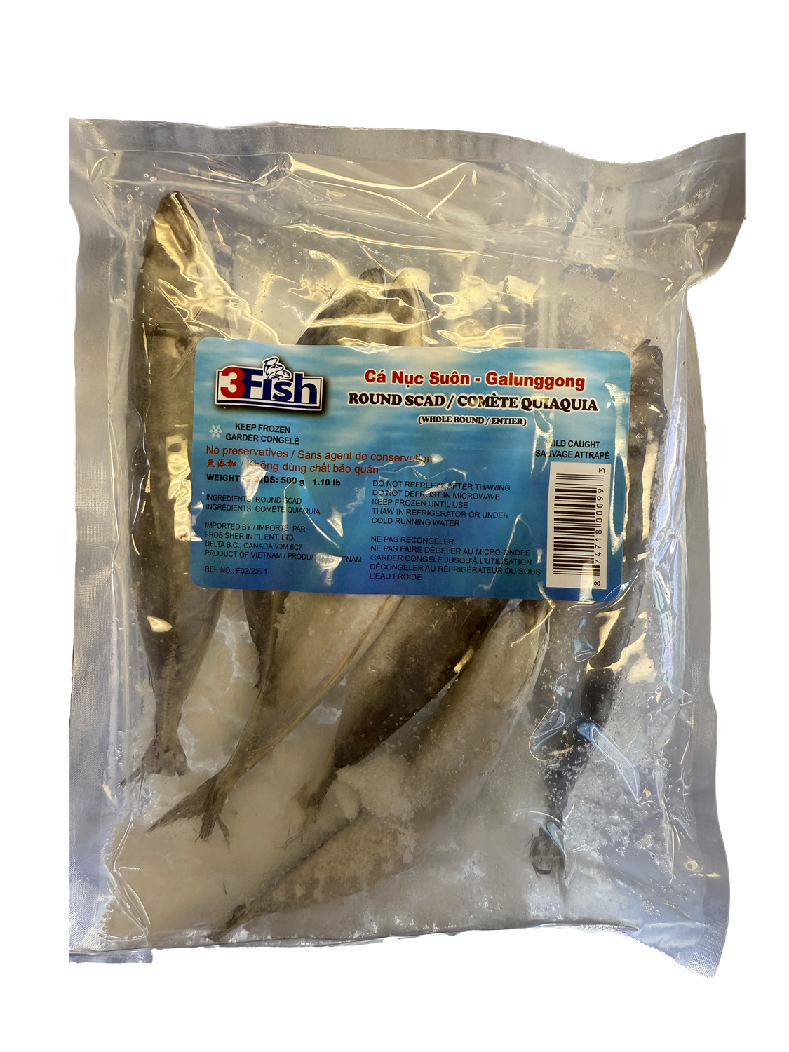 FRZ ROUND SCAD W/R 80/150 VN 3FISH (500g)
