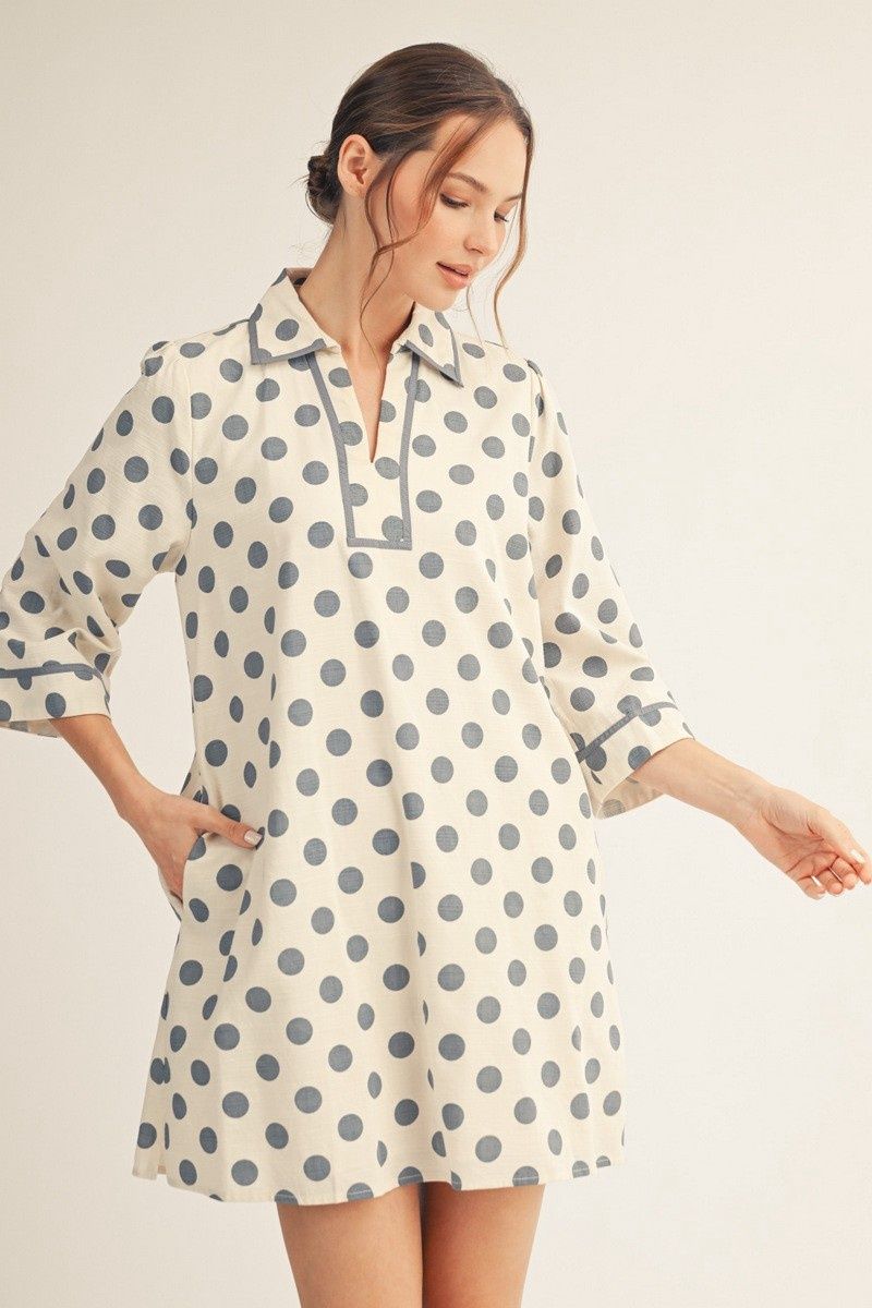 Polka Dot Woven Dress