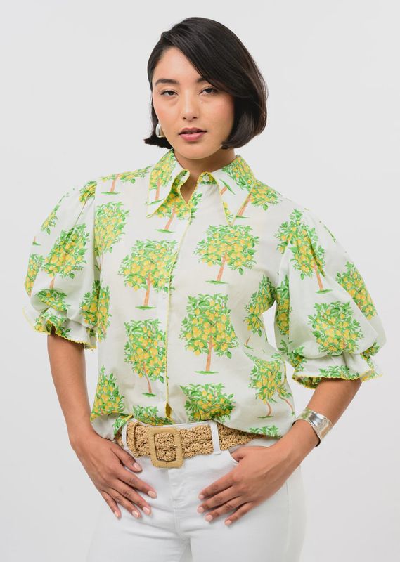 Lemon Tree Top