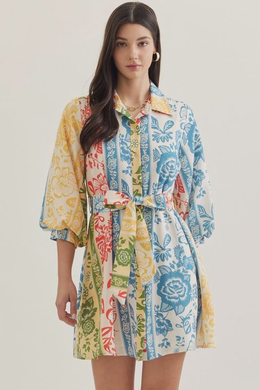Multi Botanical Stripe Dress