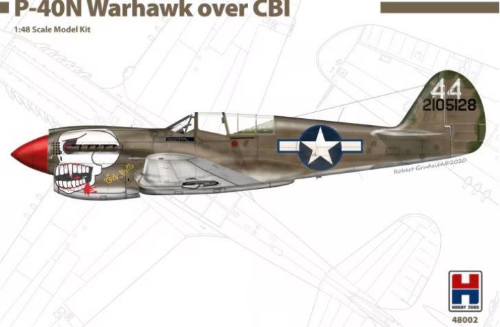 Hobby 2000 P-40N Warhawk over CBI (1:48) [48002]