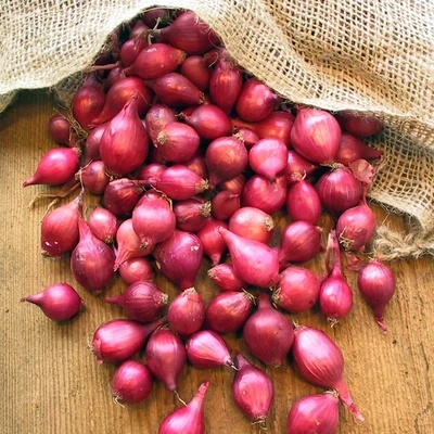 Onions, RED