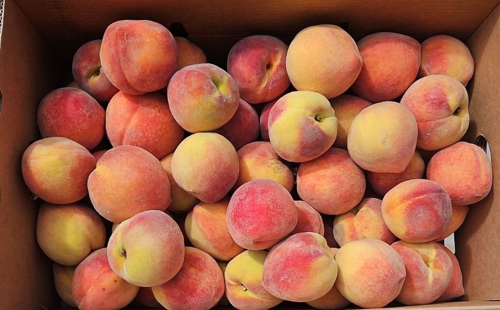 Peaches (Box)