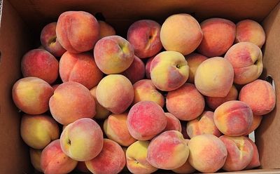 Peaches (Box)