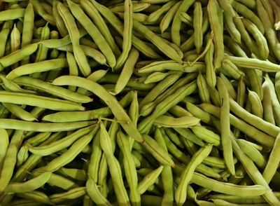 Beans (Half Runner) BUSHEL
