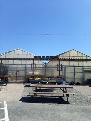 Spring Greenhouse 🌷